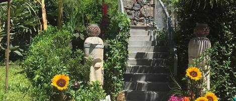 Panoraamahuone, 1 makuuhuone | Ulkoalueet