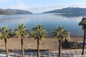 A beach with palm trees and a calm lake.