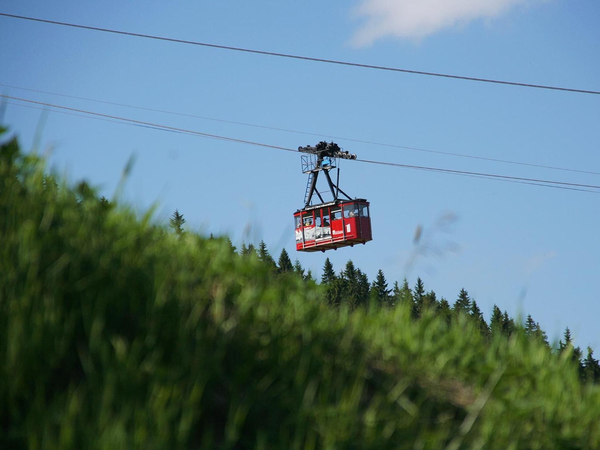 A cable car suspended by cables against a clear sky, surrounded by greenery.