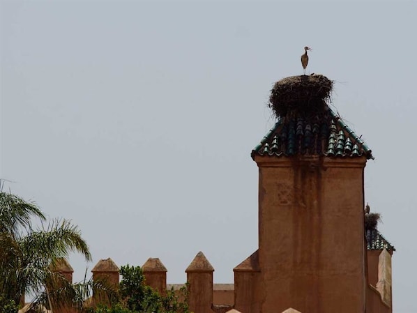 Exterior - Dar Alif (Marrakech)
