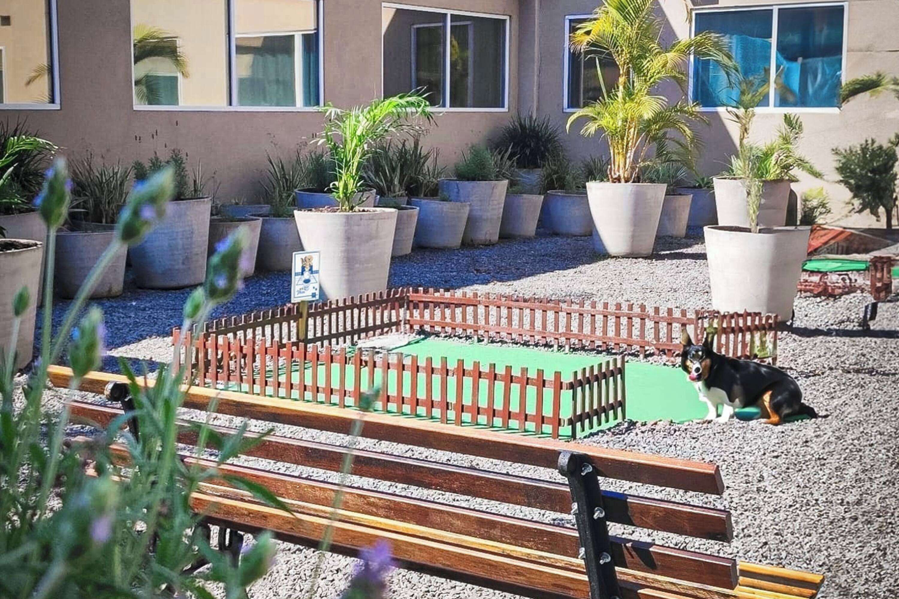 Foto - TRYP BY WYNDHAM São Paulo Airport - Hotel de Transito Terminal 3 -Lado Ar - Área restrita á passagei