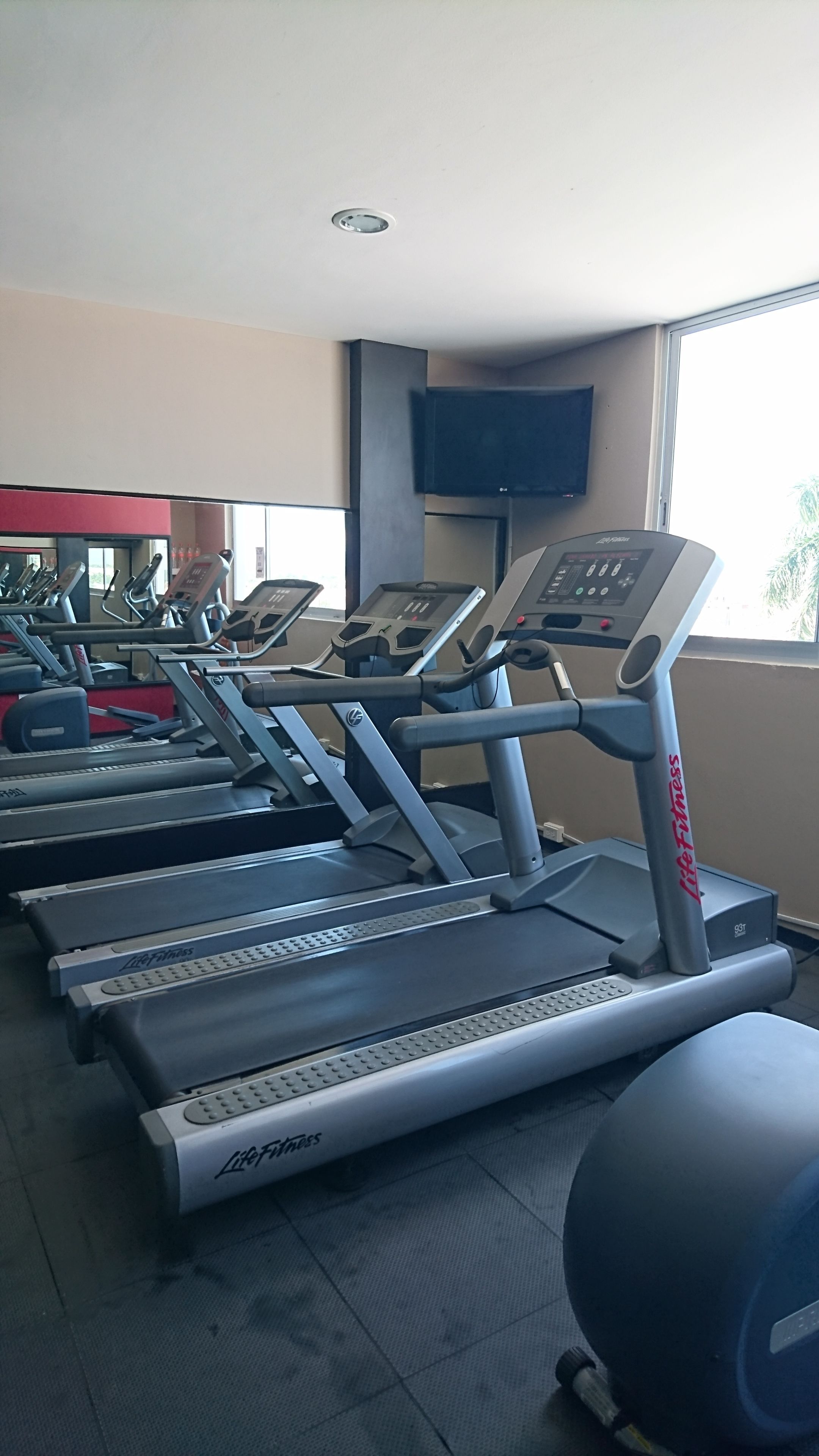A row of Life Fitness treadmills in a gym with a TV mounted on the wall and a window providing natural light.