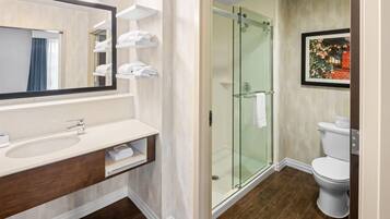 A modern bathroom with a glass shower enclosure, a white sink, and a toilet.