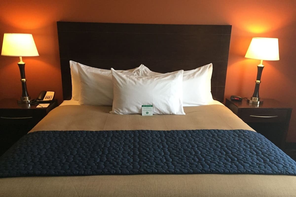 Hypo-allergenic bedding available, desk, laptop workspace