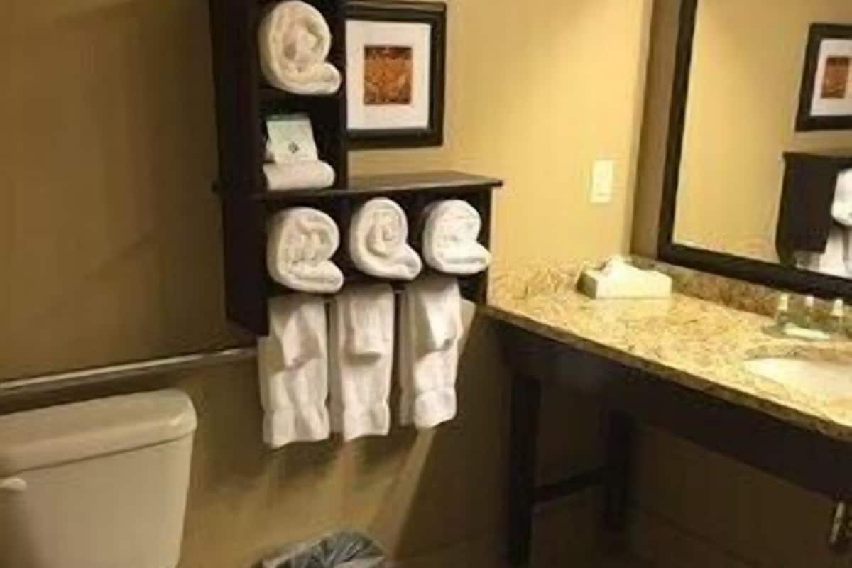 Bathroom | Combined shower/tub, free toiletries, hair dryer, towels