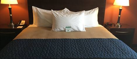 A hotel room with a large bed, two bedside tables, a nightstand, a lamp, a phone, and a card on the bed.