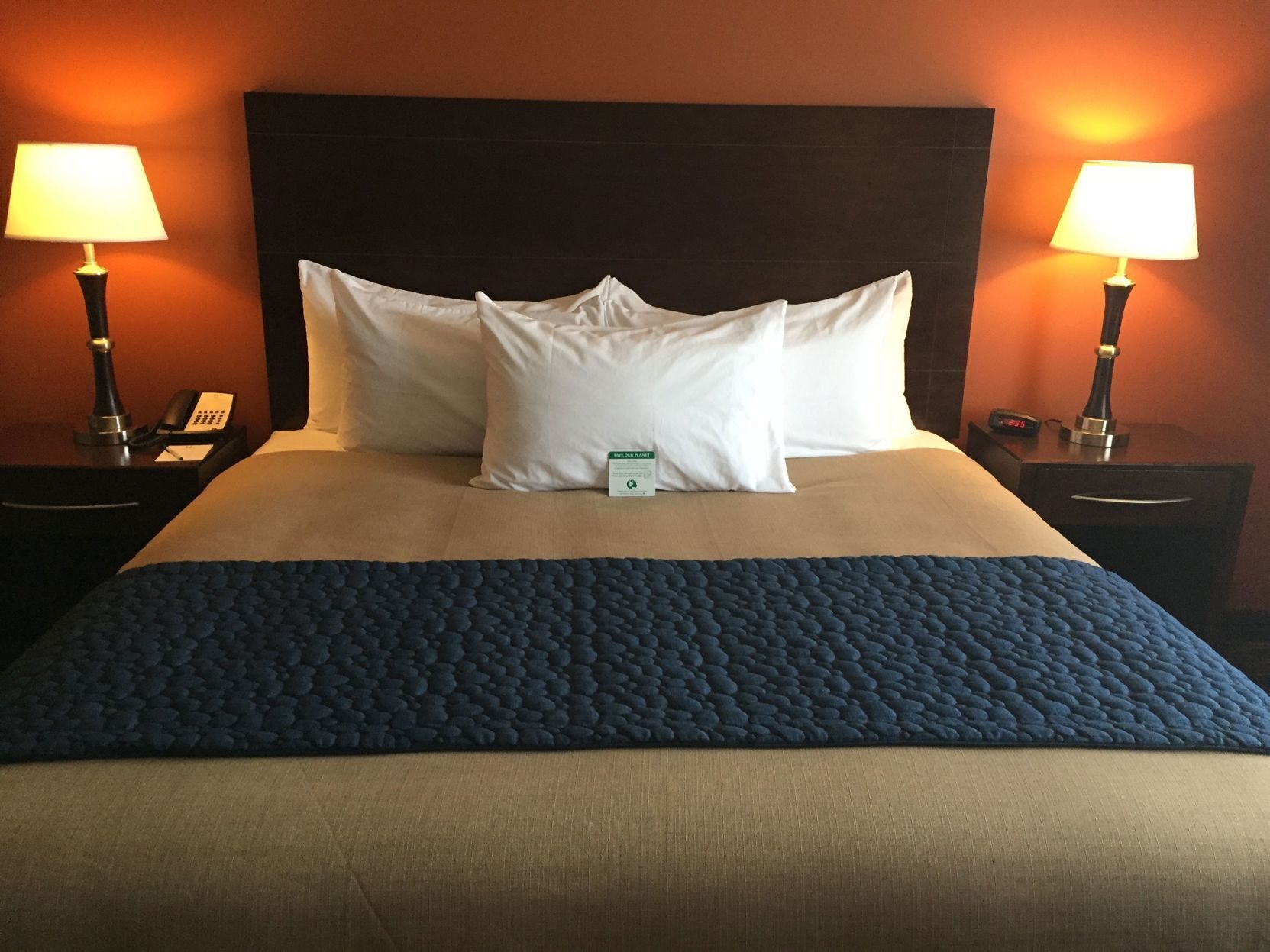 Hypo-allergenic bedding, desk, laptop workspace, blackout drapes