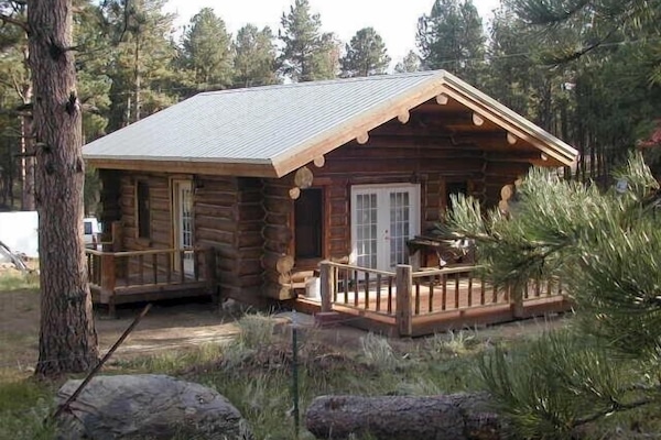 Traditional Cabin, 1 Bedroom (Renegade) | Exterior