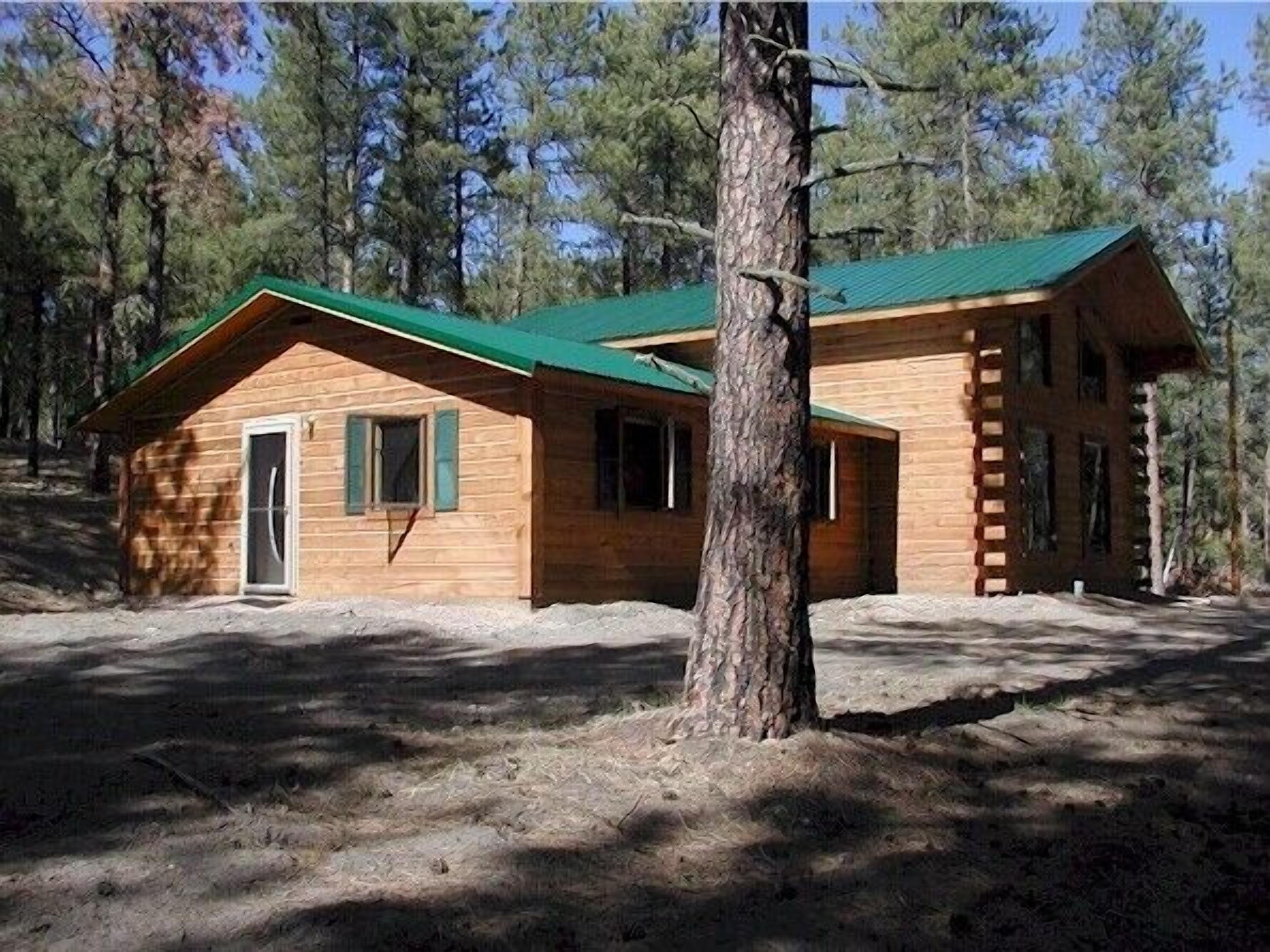 A cabin with a green roof, wooden walls, and a door with green shutters.
