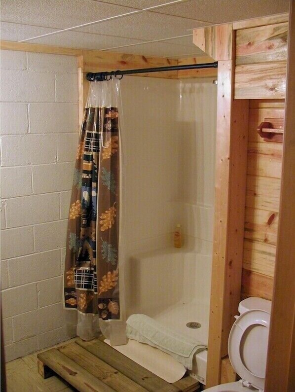 Combined shower/tub, hair dryer, towels