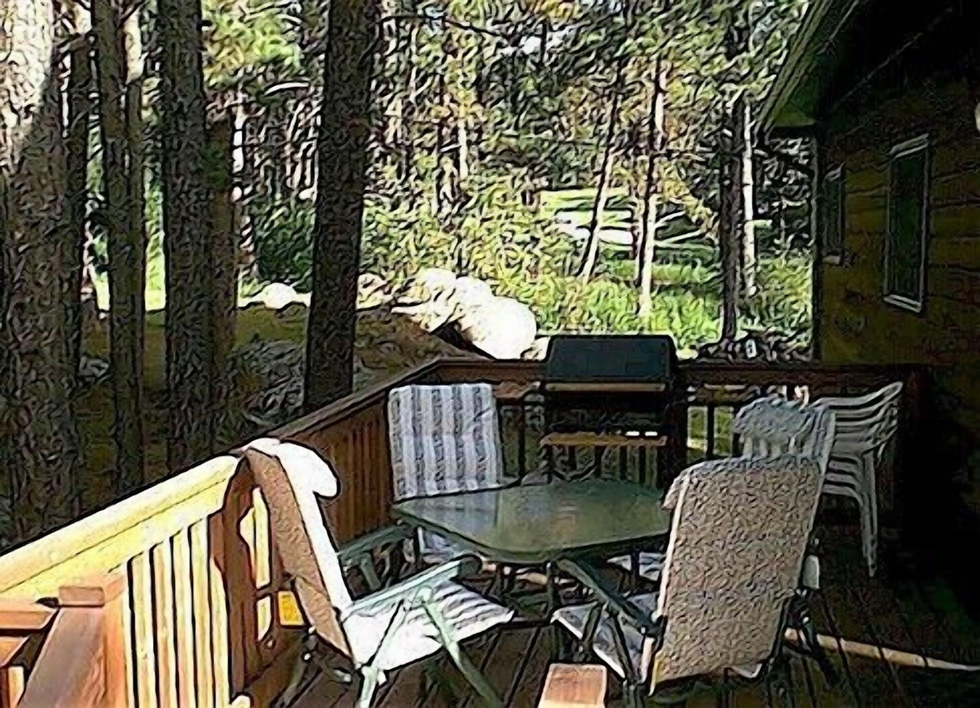 Un espace extérieur abrité, avec des bancs en bois et une table, entouré d’arbres.