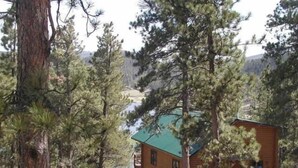 A cabin surrounded by tall pine trees, with a green roof and a small porch area.