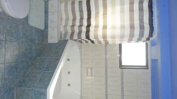 Combined shower/bathtub, free toiletries, hair dryer, shampoo