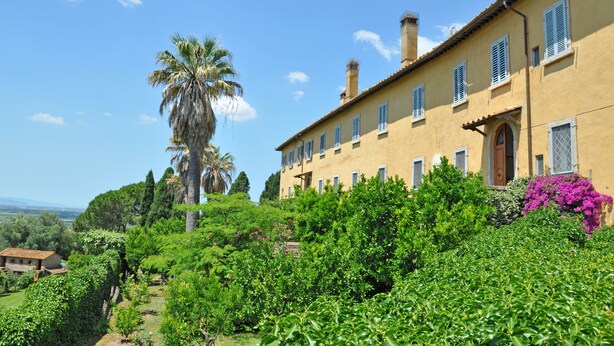A large, yellow building with multiple windows and a prominent door, surrounded by lush greenery and a palm tree. - Il Principe (Manciano)