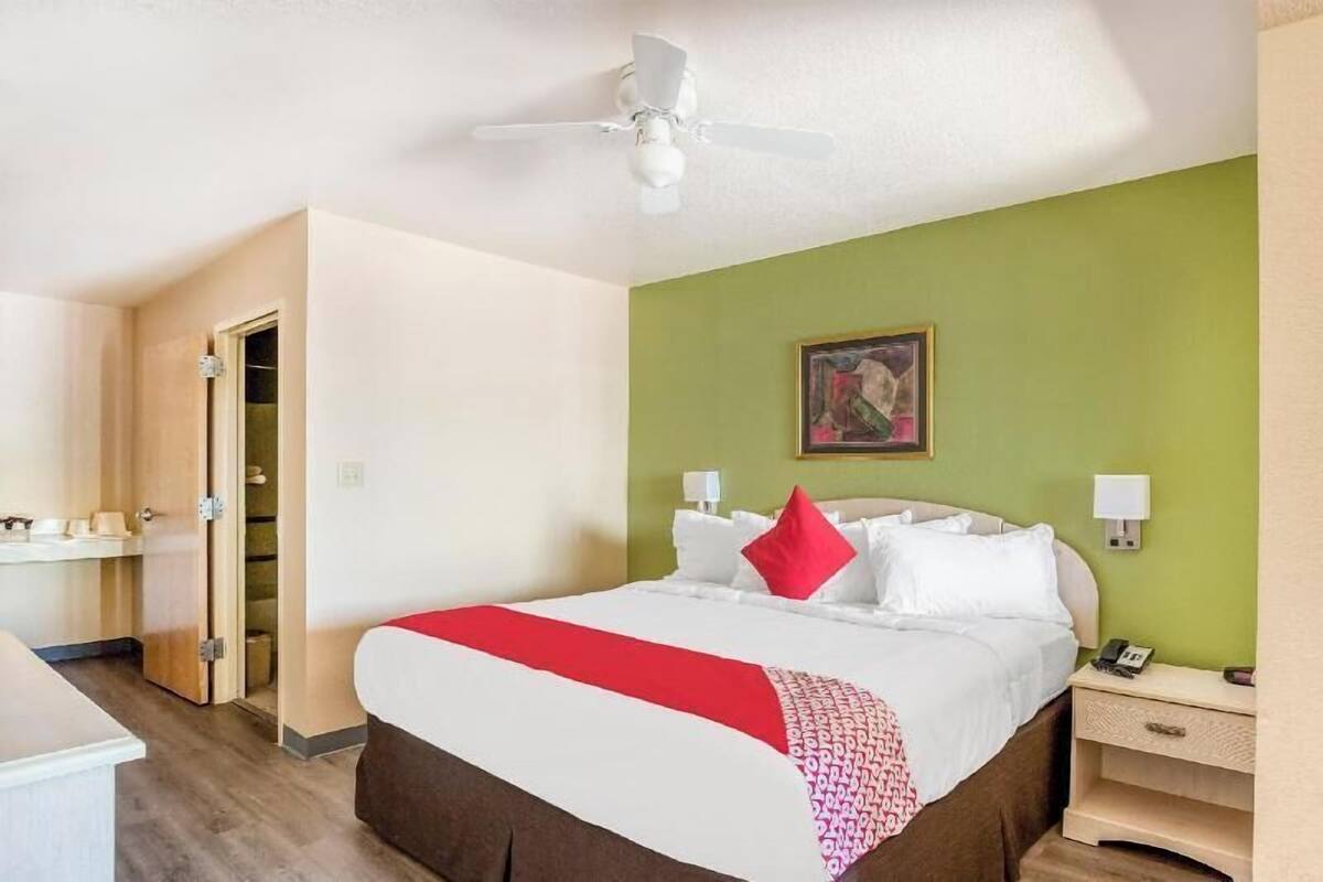 Une chambre d’hôtel avec un lit, un ventilateur de plafond, un mur vert, un tableau, une table de chevet avec une lampe et un téléphone.