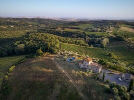 An aerial view of a vineyard with rows of grapevines, a stone building, and a swimming pool.