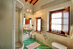 A bathroom with a sink, mirror, toilet, and a shower area. - Villa Rachele (Casole d'Elsa)