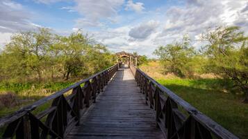 Un puente de madera que conduce a un mirador en un entorno natural.
