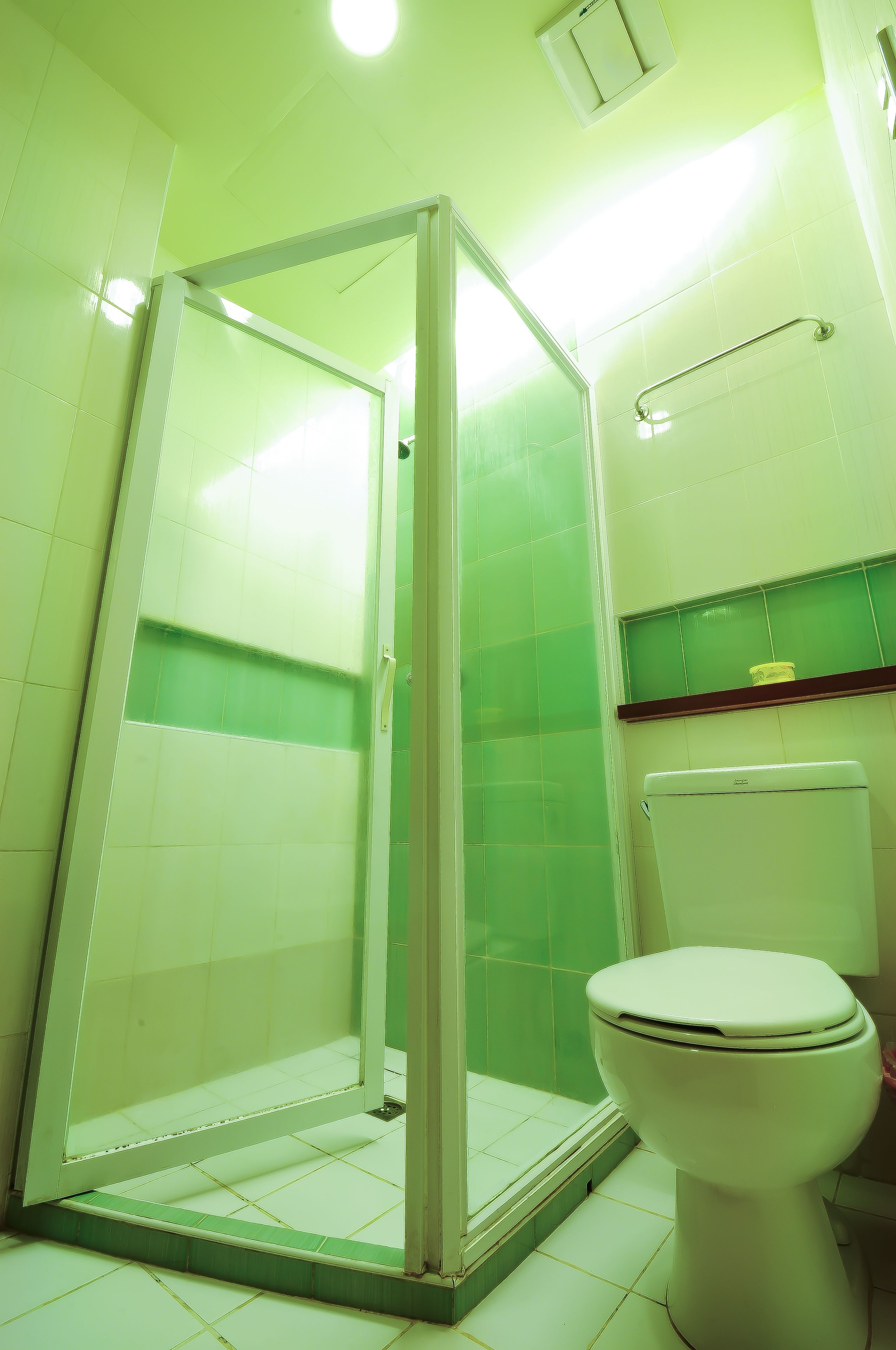 A bathroom with a glass-enclosed shower, a white toilet, and green-tiled walls.