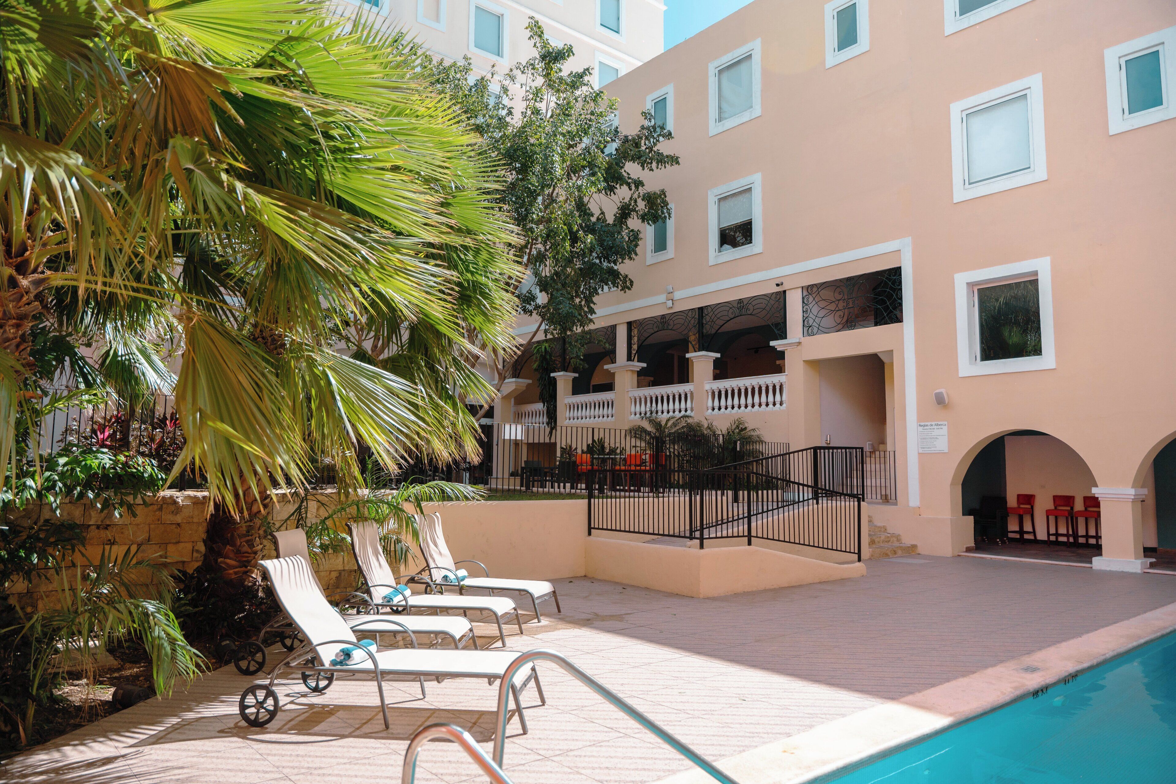 Un área junto a la piscina con sillones reclinables, una palmera y un edificio con varias ventanas y balcones.