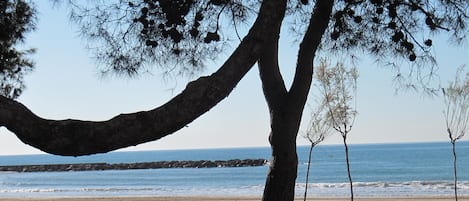 靠近海滩、白沙