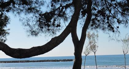 Hotel Tramontana