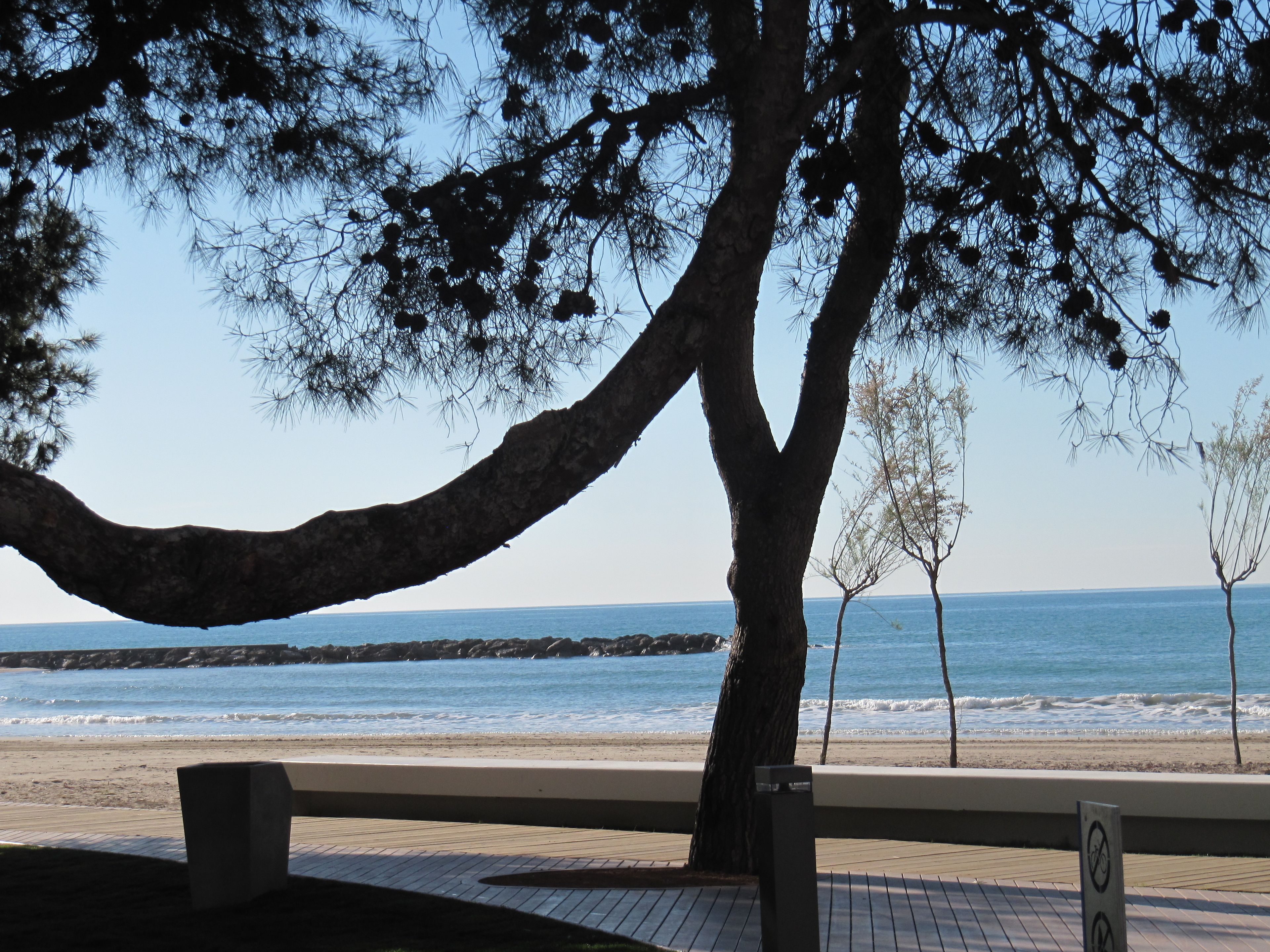Una panchina con vista su una spiaggia e sul mare, con una costa rocciosa.