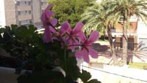 Un balcón con flores rosadas, vista de un edificio y una montaña al fondo.