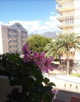 Vistas desde la habitación