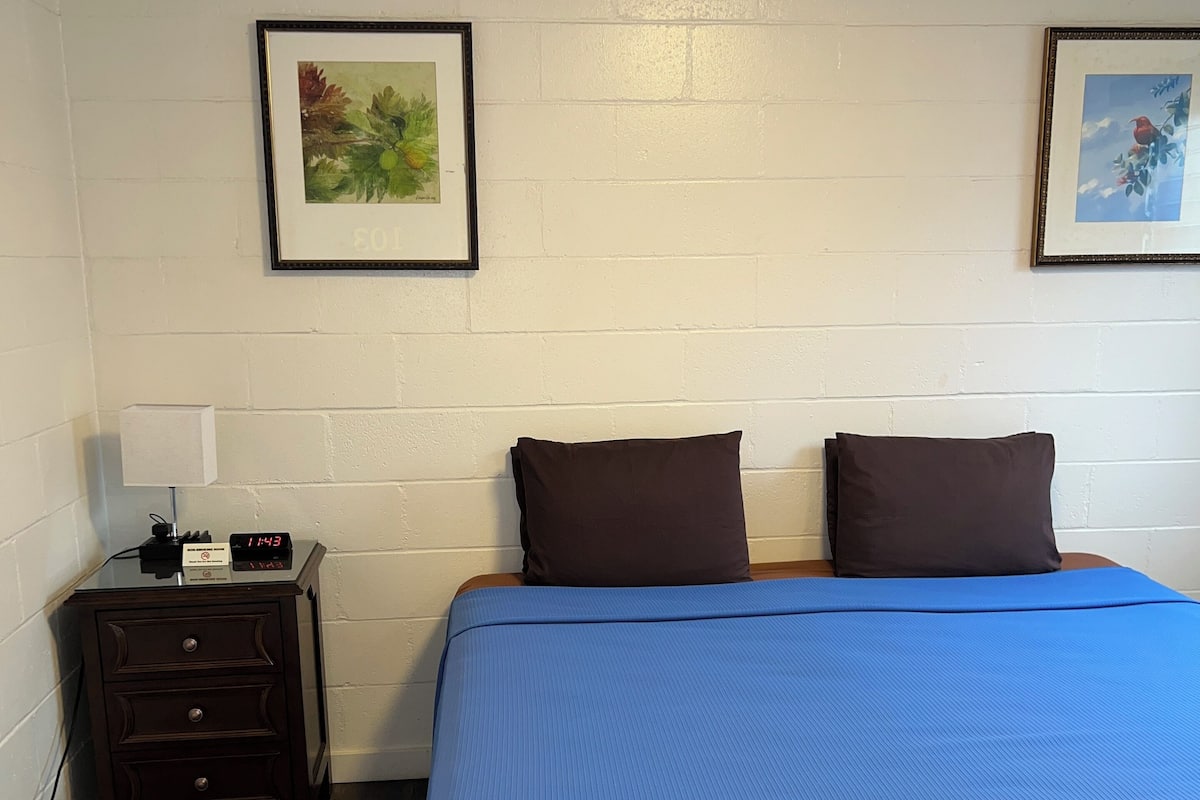 Un dormitorio con una cama, dos almohadas, una mesita de noche con una lámpara y dos cuadros en la pared.