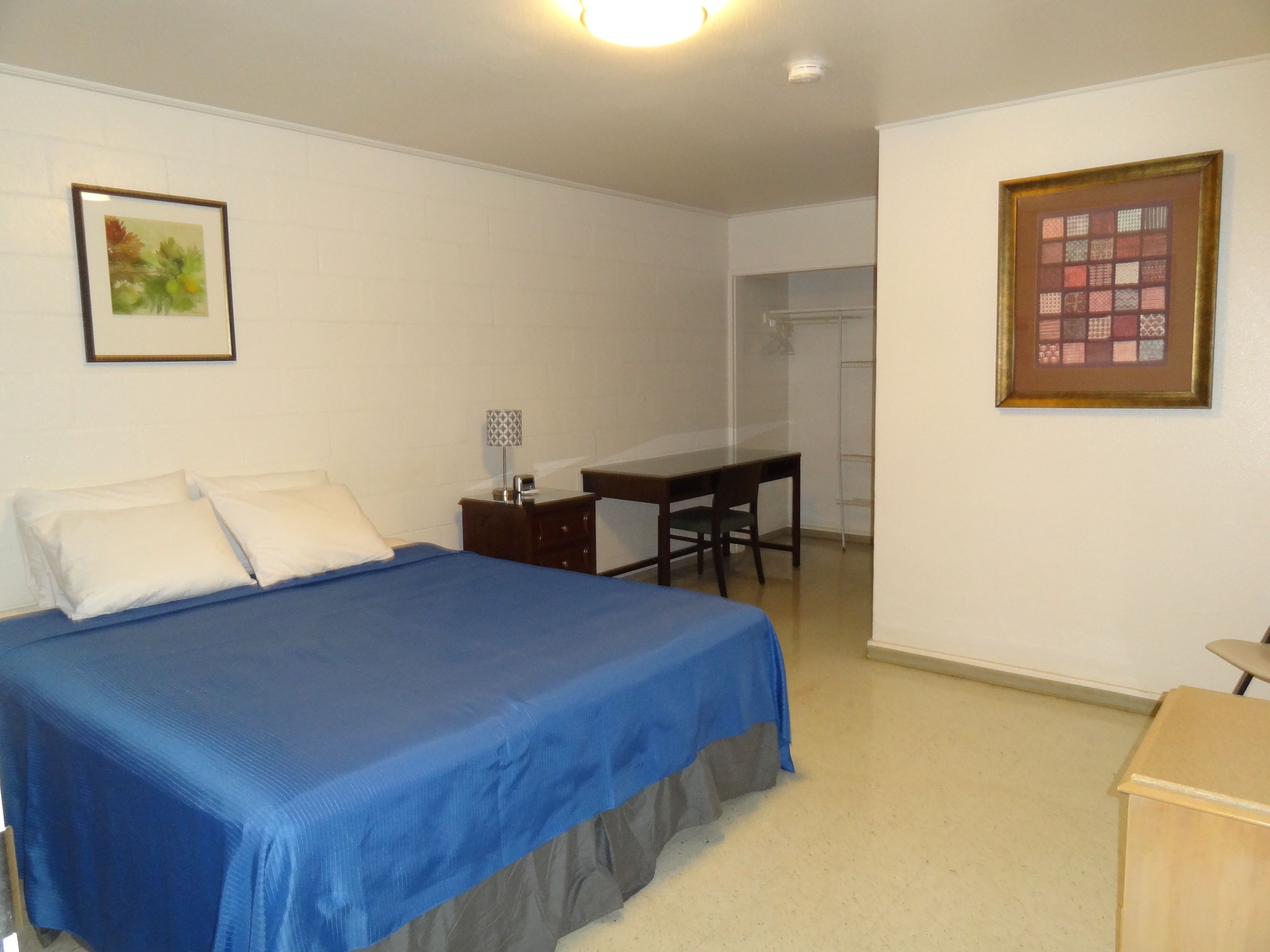 A bedroom with a bed, a desk, and a chair.