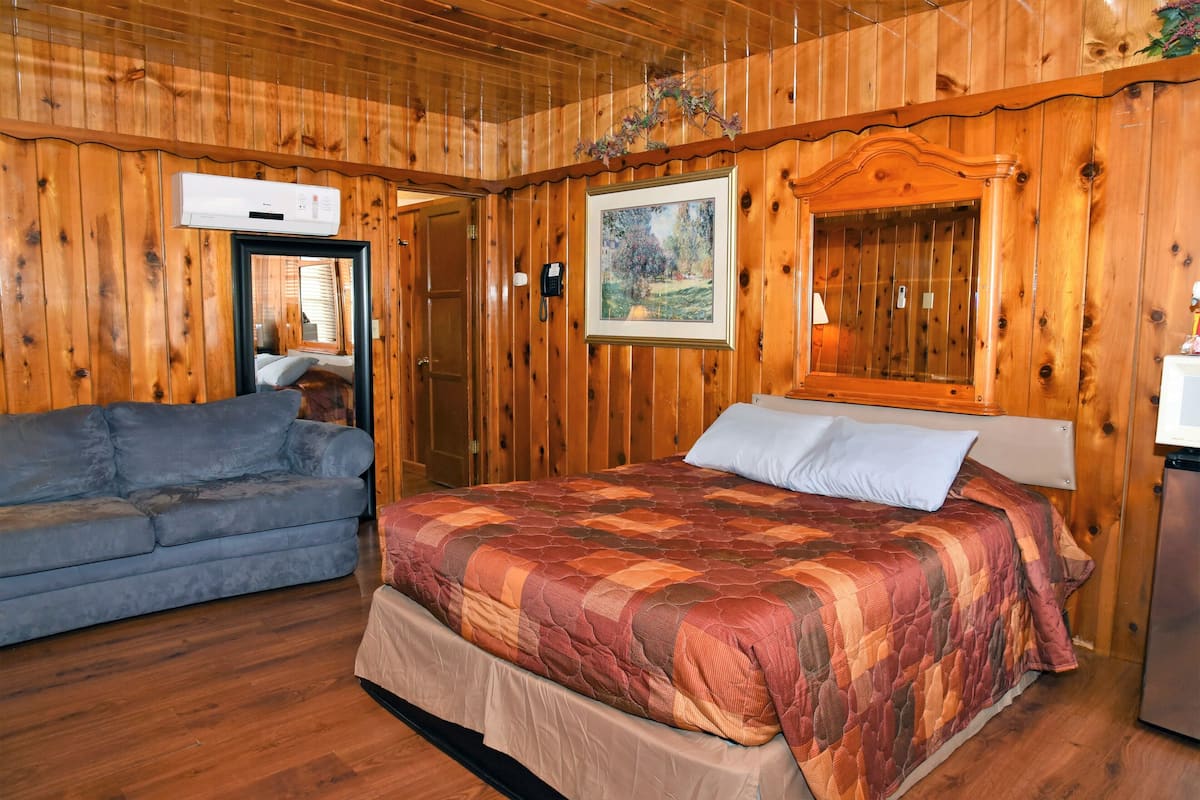 A wooden-paneled room with a bed, a sofa, and an air conditioning unit.