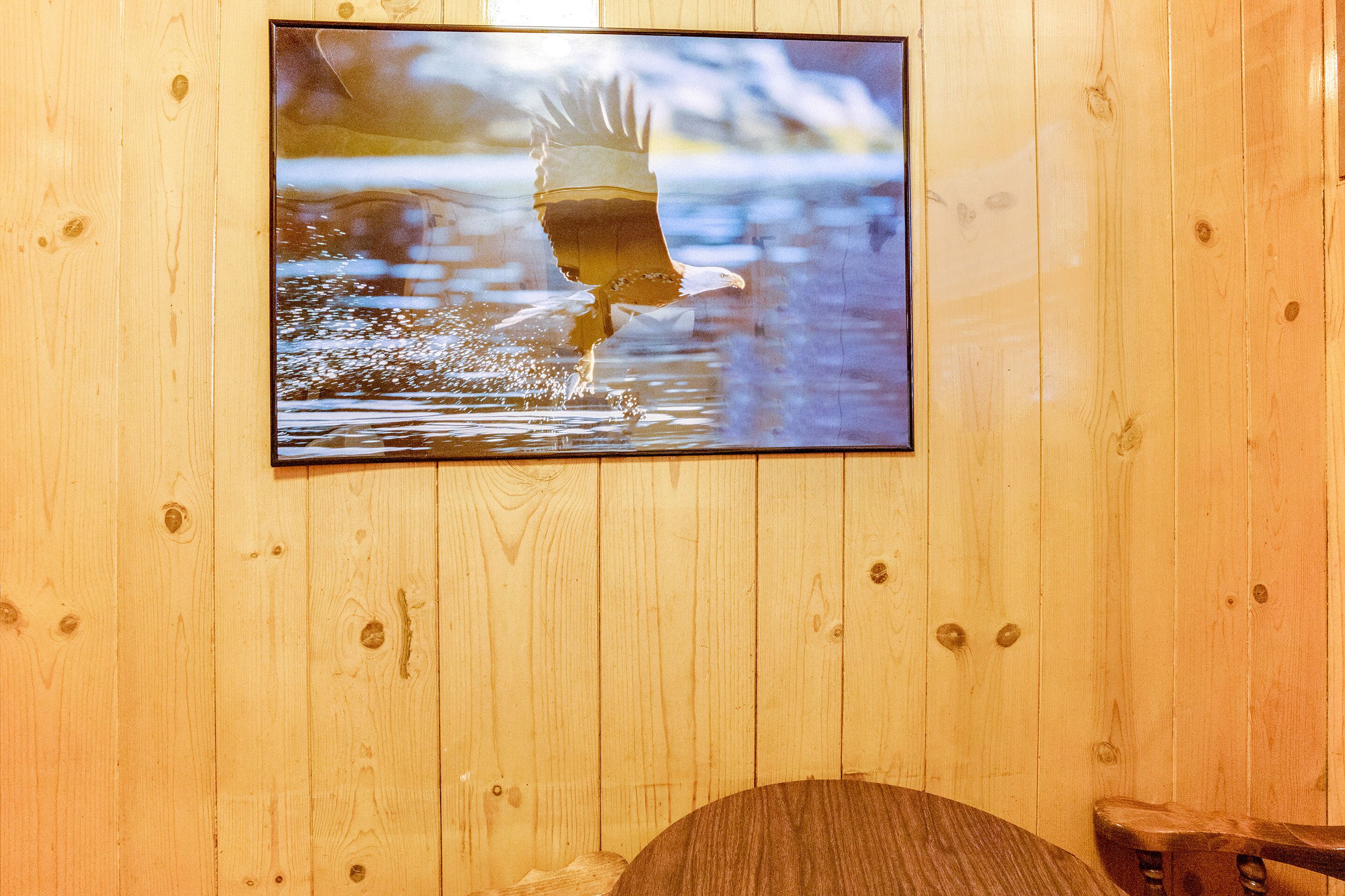 Un mur en bois sur lequel est fixée une télévision qui diffuse une image d’un oiseau en vol.