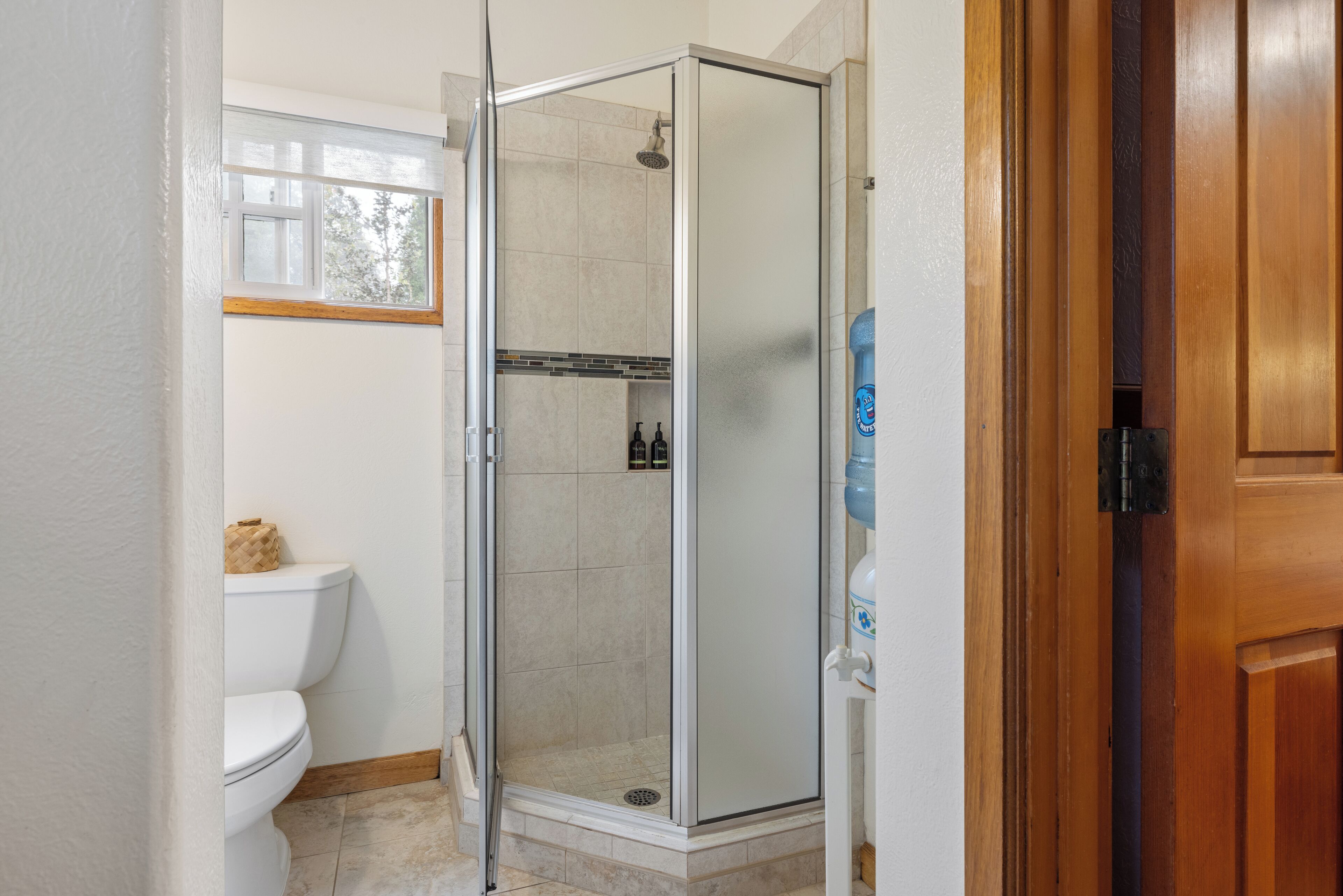 Baño con ducha acristalada, inodoro y puerta de madera.