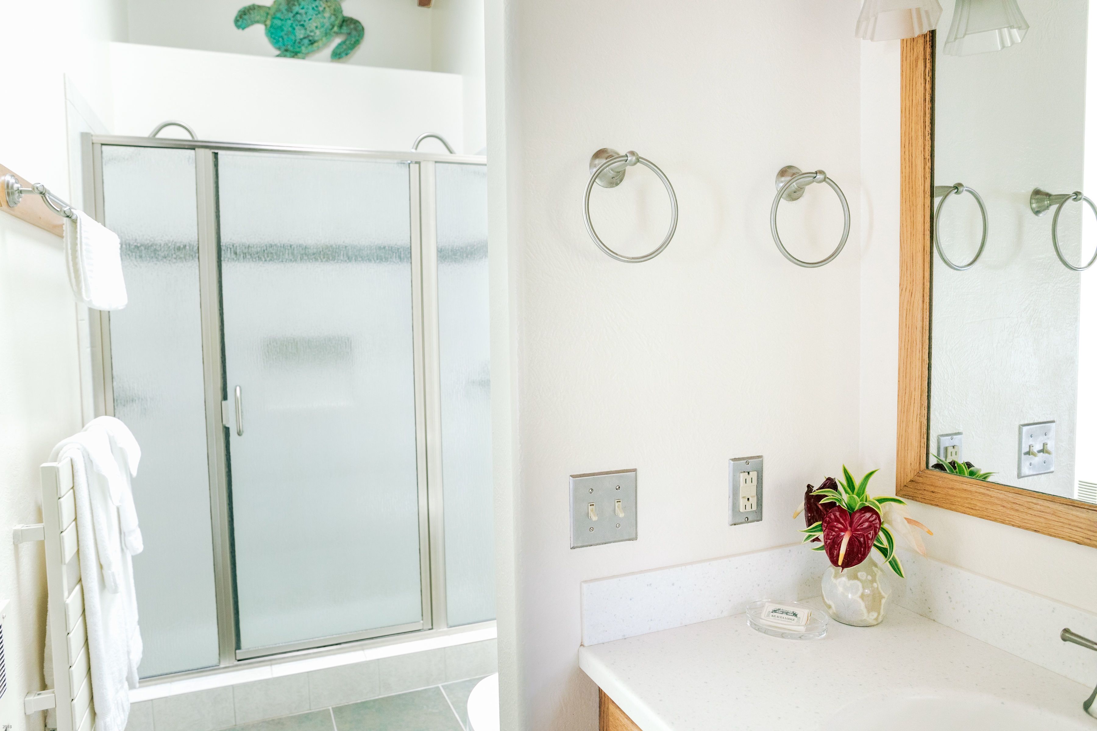 Casa de banho com cabine de duche em vidro, lavatório branco com espelho e um vaso com uma planta.