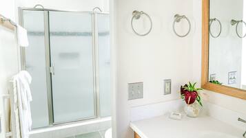 Casa de banho com cabine de duche em vidro, lavatório branco com espelho e um vaso com uma planta.