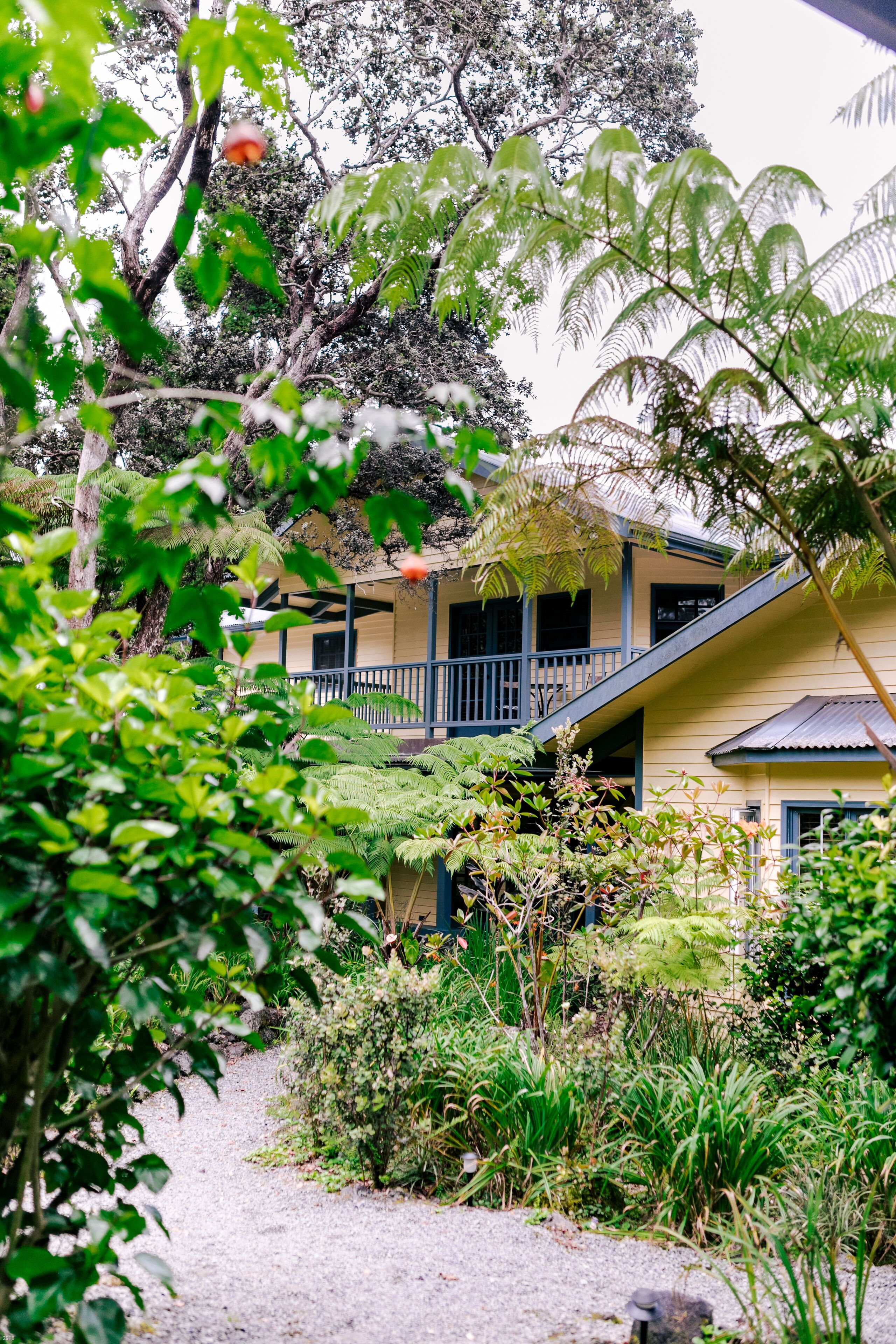 A two-story building with a balcony, surrounded by lush greenery and ferns.