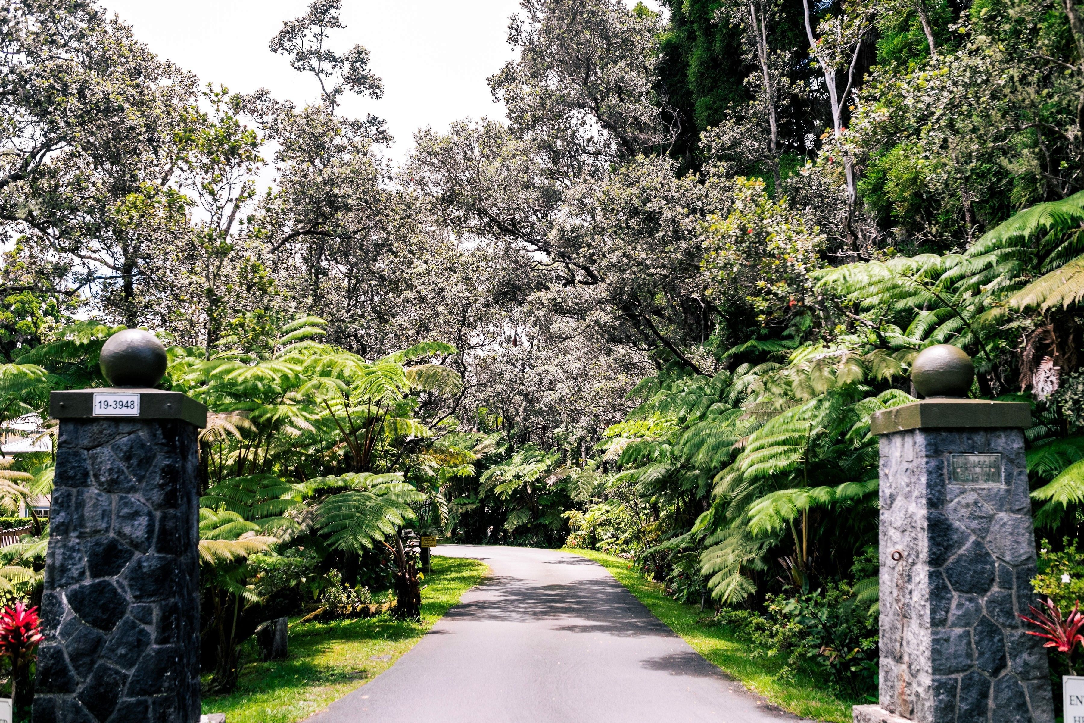 A pathway flanked by stone pillars with spherical tops, leading through a lush garden with various trees and ferns.
