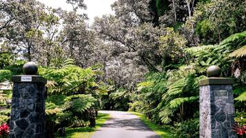 A pathway flanked by stone pillars with spherical tops, leading through a lush garden with various trees and ferns.