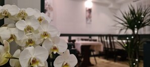 Un área de comedor con orquídeas blancas en primer plano, una mesa con sillas y una planta en maceta al fondo.