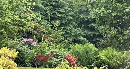 Braeburn Guest House / B&B