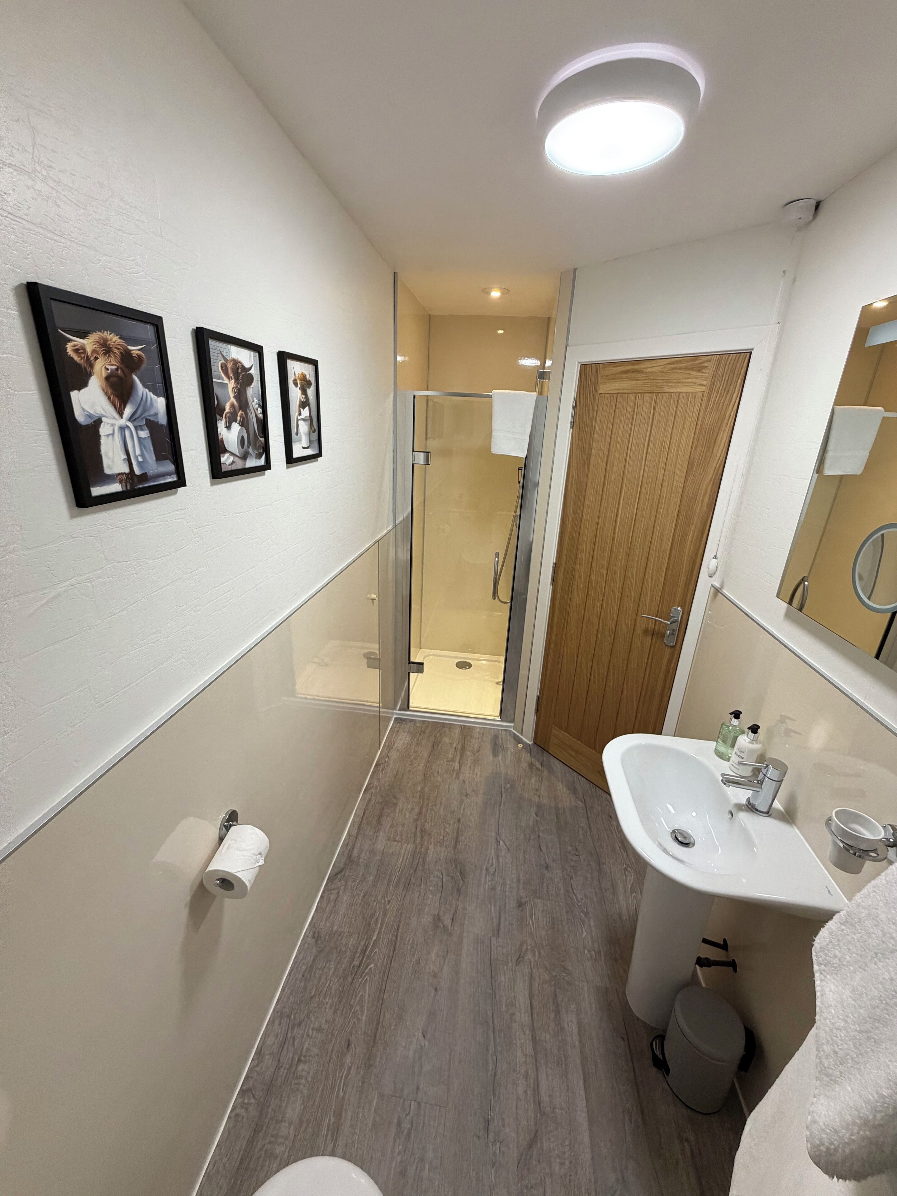 A narrow bathroom with a wooden door, a glass shower enclosure, and a sink with a mirror.