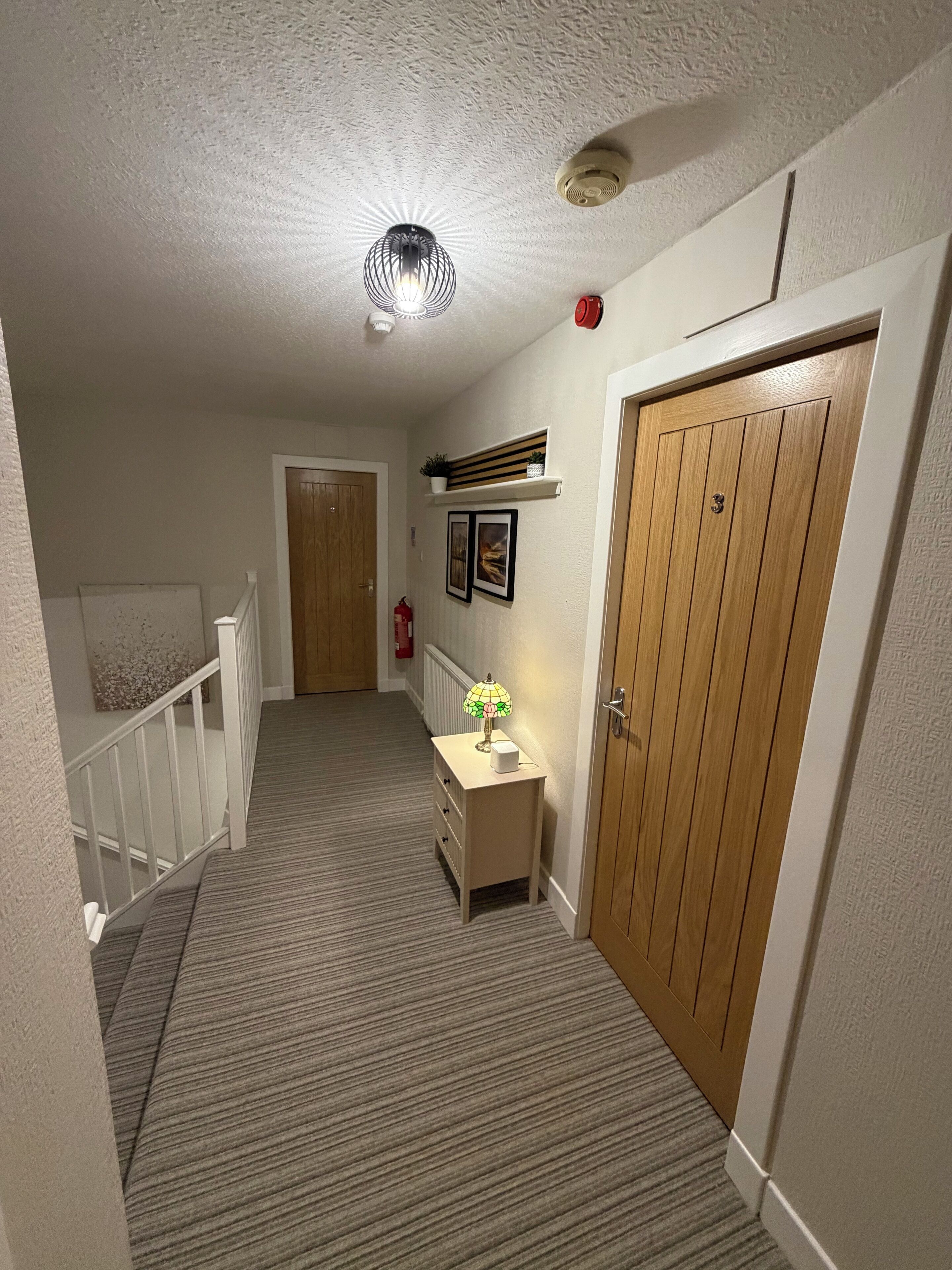 A hallway with a carpeted floor, a wooden door, a small table with a lamp, and a shelf with a plant.