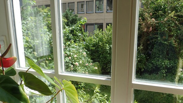 Una finestra con vista su un rigoglioso giardino e un edificio sullo sfondo.