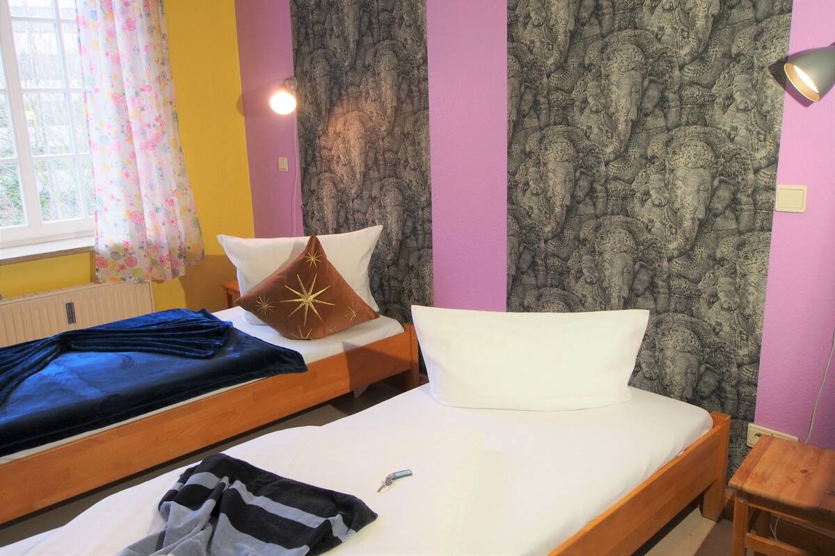 Habitación con 2 camas individuales | 1 habitación y ropa de cama hipoalergénica