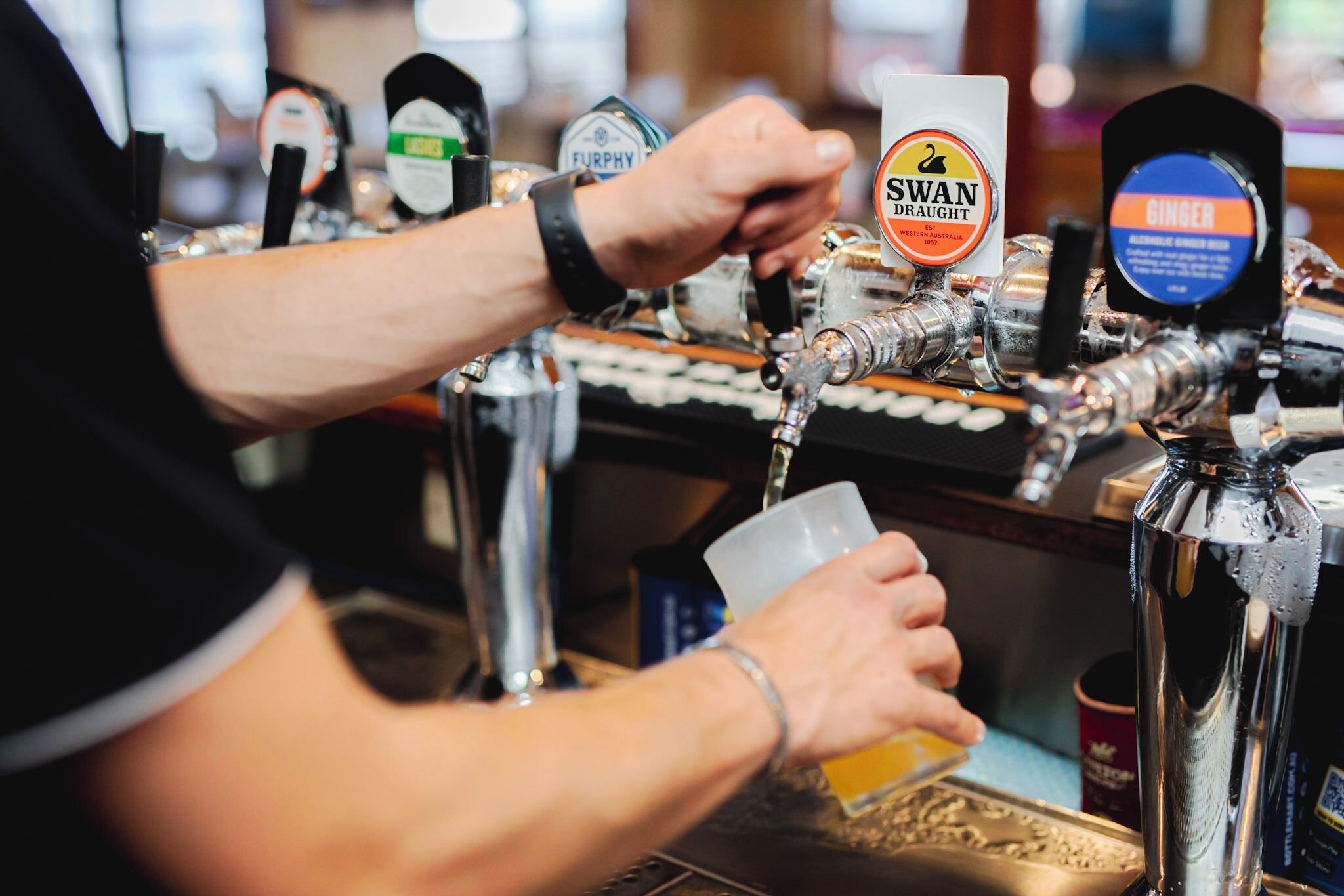 Un barista operando grifos de cerveza etiquetados como "SWAN DAUGHTER" y "GINGER".