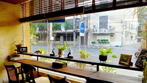 A wooden table with chairs, a window with a view of the street, and various potted plants. - Old Capital Bike Inn (Bangkok)
