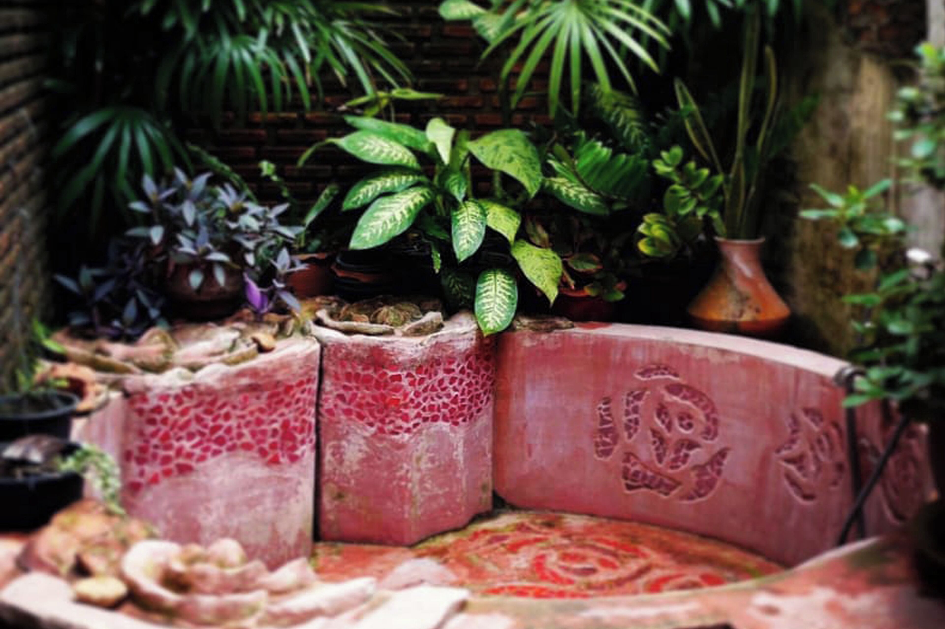 Foto - Old Capital Bike Inn - SHA Certified