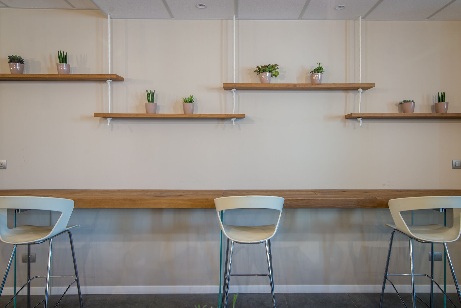 A reception area with three white chairs, wooden reception desk, and multiple potted plants on shelves.