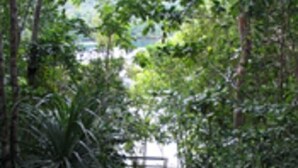 施設の敷地